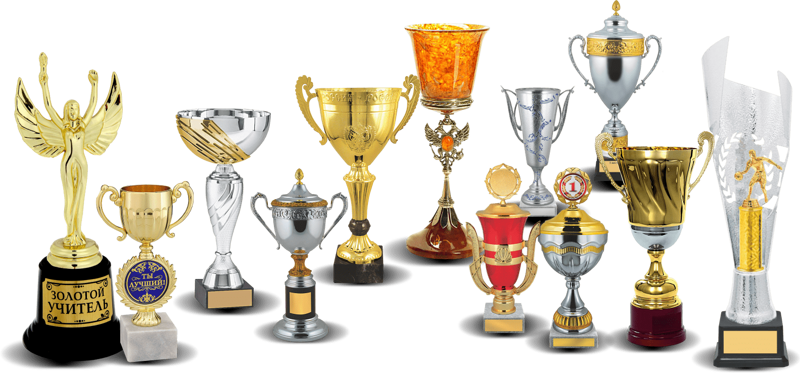 Достижения